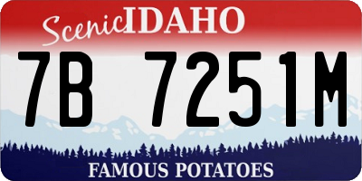 ID license plate 7B7251M
