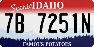 ID license plate 7B7251N