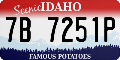ID license plate 7B7251P