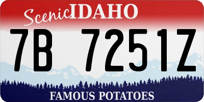 ID license plate 7B7251Z