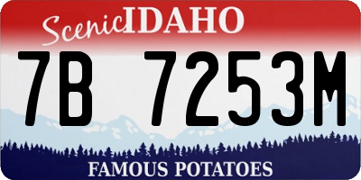 ID license plate 7B7253M