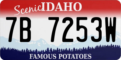 ID license plate 7B7253W