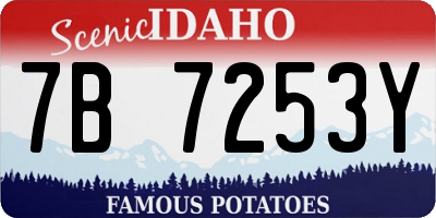 ID license plate 7B7253Y