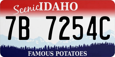 ID license plate 7B7254C