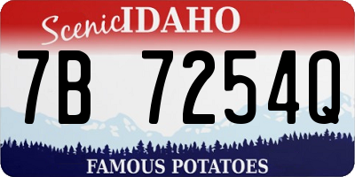ID license plate 7B7254Q