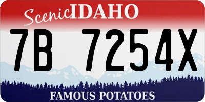 ID license plate 7B7254X