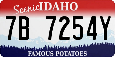 ID license plate 7B7254Y