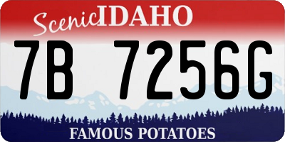 ID license plate 7B7256G