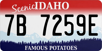 ID license plate 7B7259E