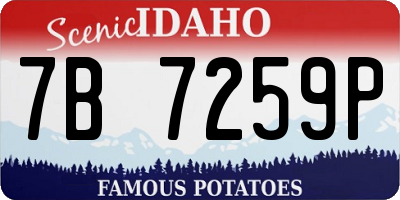 ID license plate 7B7259P