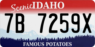 ID license plate 7B7259X