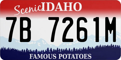 ID license plate 7B7261M