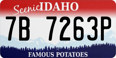 ID license plate 7B7263P
