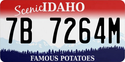 ID license plate 7B7264M