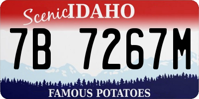ID license plate 7B7267M