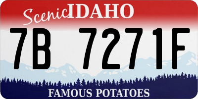 ID license plate 7B7271F