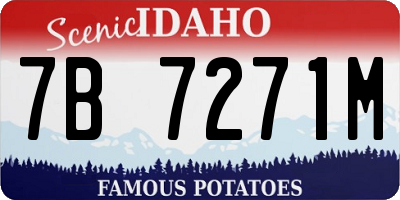 ID license plate 7B7271M