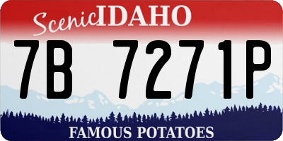 ID license plate 7B7271P