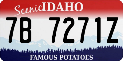 ID license plate 7B7271Z