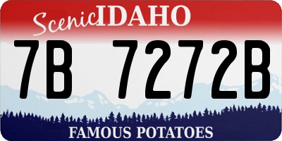 ID license plate 7B7272B
