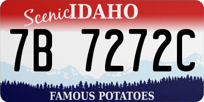 ID license plate 7B7272C