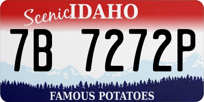 ID license plate 7B7272P