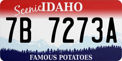 ID license plate 7B7273A