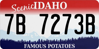 ID license plate 7B7273B