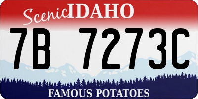 ID license plate 7B7273C