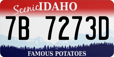 ID license plate 7B7273D