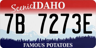 ID license plate 7B7273E