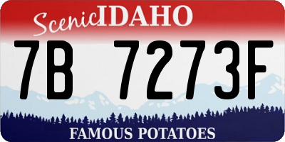 ID license plate 7B7273F