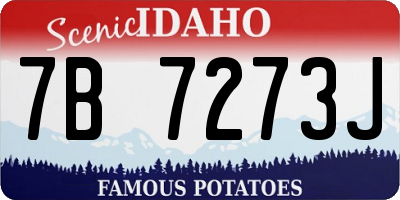 ID license plate 7B7273J
