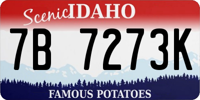 ID license plate 7B7273K
