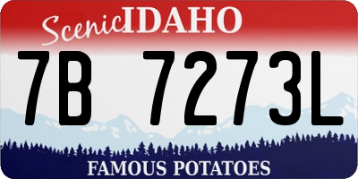 ID license plate 7B7273L