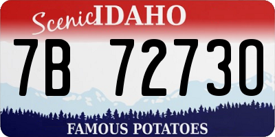 ID license plate 7B7273O