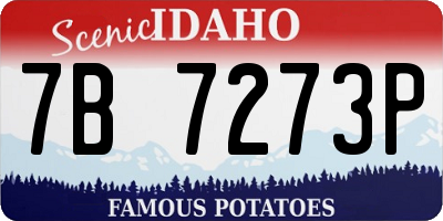 ID license plate 7B7273P