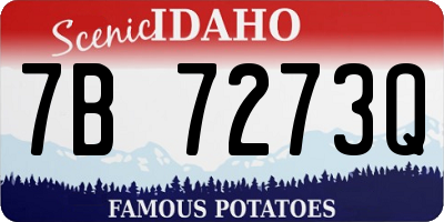 ID license plate 7B7273Q