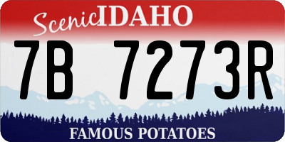 ID license plate 7B7273R