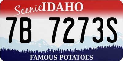 ID license plate 7B7273S
