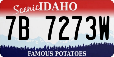ID license plate 7B7273W