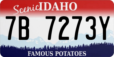 ID license plate 7B7273Y