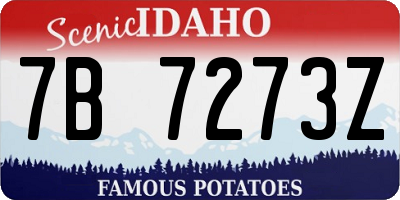 ID license plate 7B7273Z