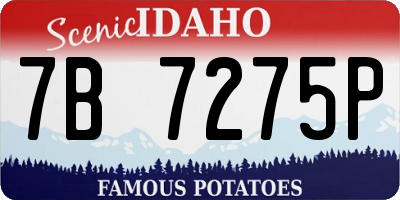 ID license plate 7B7275P