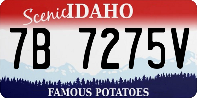ID license plate 7B7275V