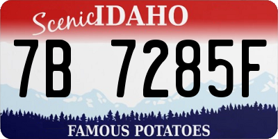 ID license plate 7B7285F