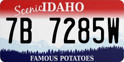 ID license plate 7B7285W