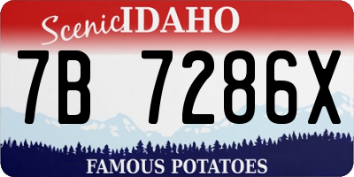 ID license plate 7B7286X
