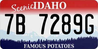 ID license plate 7B7289G