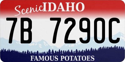 ID license plate 7B7290C